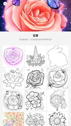 印度指责巴基斯坦连续违反停火规定